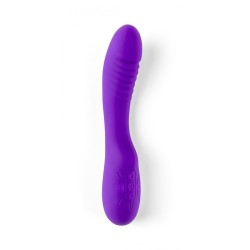 RECHARGEABLE VIBRATOR V5 PURPLE