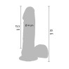 ToyJoy Get Real Silicone 20 cm Dildo