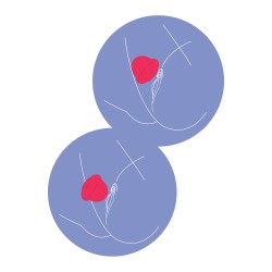 Pearl Pulse Duo Stimulator