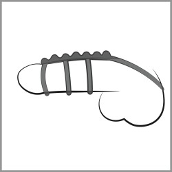 Bad Kitty Ring Quartett