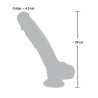 Medical Silicone Dildo 24 cm