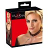 Collar and Leash