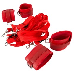 Bad Kitty Bed Restraint Set