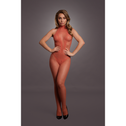 Fishnet and Lace Bodystocking - One Size