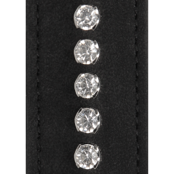 Diamond Studded Collar with Leash