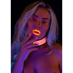 Taboom Glow In the Dark Collar and Chain Leash