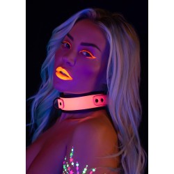 Taboom Glow In the Dark Collar and Chain Leash
