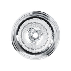 Clear Shot Pussy & Ass