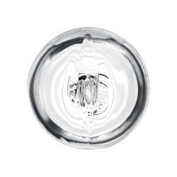 Crystal Clear Pussy & Mouth