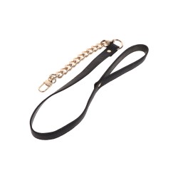 Statement Collar and leash