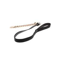 Statement Collar and leash