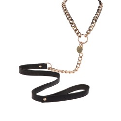 Statement Collar and leash