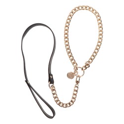 Statement Collar and leash