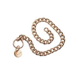 Statement Collar and leash