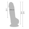 Realistic Dildo PVC 18 cm