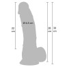 Realistic Dildo PVC 28 cm