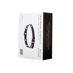 Obroża Skórzana z Ćwiekami