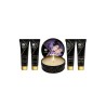 Shunga geisha's secret kit exotic fruits