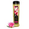 Shunga massage oil amour sweet lotus