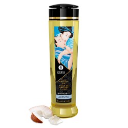 Shunga massage oil adorable coconut thrills