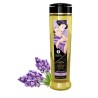 Shunga massage oil sensation lavender