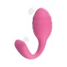 A2 REMOTE CONTROLLED VIBRATOR