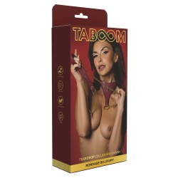 Teardrop Collar and Leash