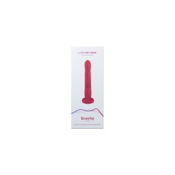 Lovense Gravity Vibrator Up and Down