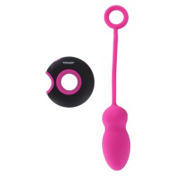 Embrace I Remote control egg