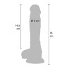 ToyJoy Pride Rainbow Lover 7'