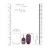 Vibrating Egg with 10 Speeds and Remote Control - L - Purple