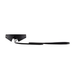 Exclusive Collar  Leash