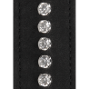 Diamond Studded Collar with Leash