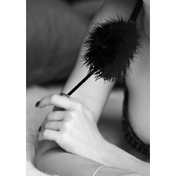 Feather Tickler