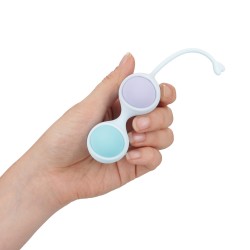 Vibrating and 5 Weight Interchangeable Kegel Kit with Remote Control - Purple