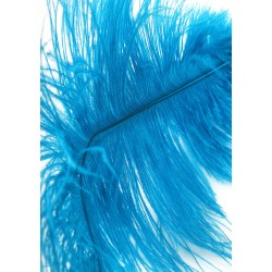 Double Feather Tickler