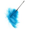 Double Feather Tickler