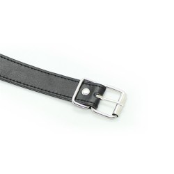 Metal O-Ring Gag Ring: 5 cm