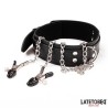 Collar with Nipple Clamps