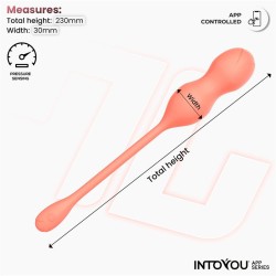 Kyra Pelvic Floor Trainer with Pressure Sensing and App