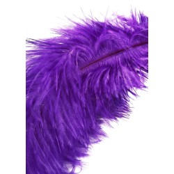 Double Feather Tickler