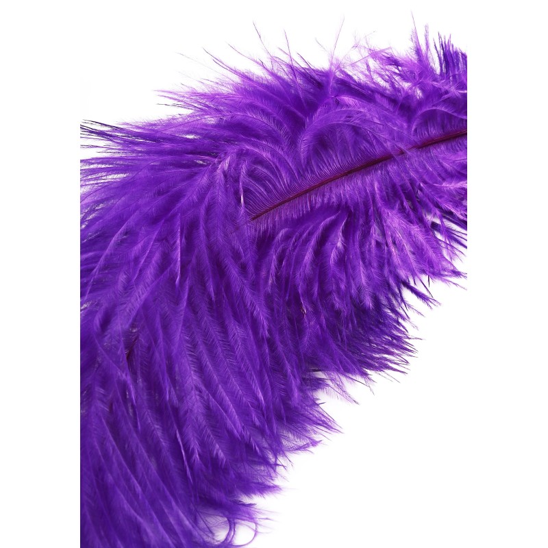 Double Feather Tickler
