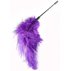 Double Feather Tickler