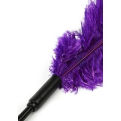 Double Feather Tickler