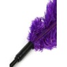 Double Feather Tickler