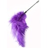 Double Feather Tickler