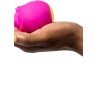 Romp Rose
