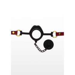 Kinky Gag with Plug