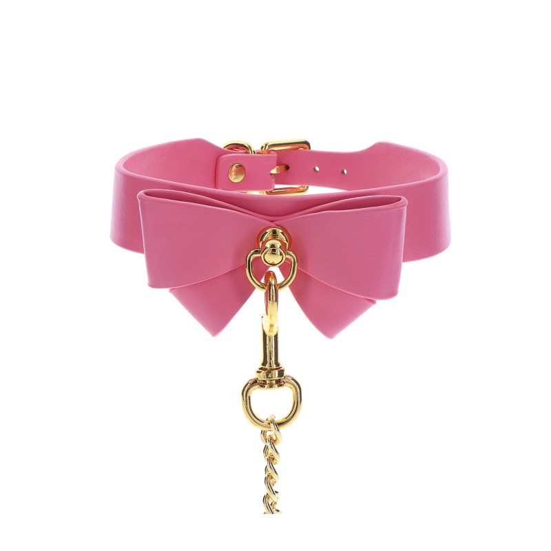 Collar and Leash