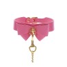 Collar and Leash